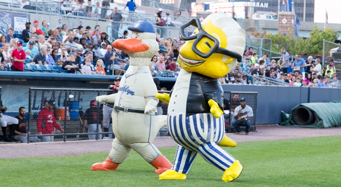 Zooperstars-promo.jpg
